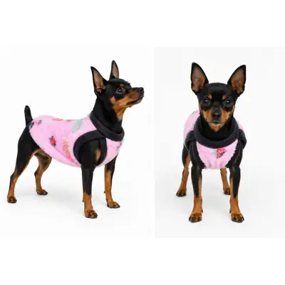 Foto do anúncio: Kit pet: 2 Roupinhas de Pet a partir R$19,00- roupa Pet - inverno