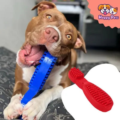 Foto do anúncio: Mordedor Em Nylon Pet Escova Da Pet Games Brinquedo Super Resistente E Ocupacional Para Cão Cachorro