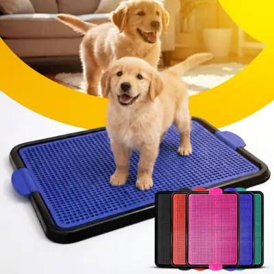 Foto do anúncio: Tapete Sanitário Canino Grande Banheiro Xixi Sim Higiênico Banheiro Pet