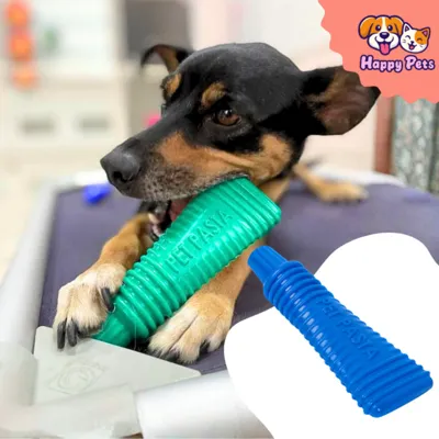 Foto do anúncio: Mordedor Em Nylon Pet Pasta Da Pet Games Brinquedo Super Resistente E Ocupacional Para Cão Cachorro