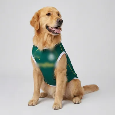 Foto do anúncio: Roupa Pet Verdão para Cachorro Pequeno e Grande Porte Camiseta Premium