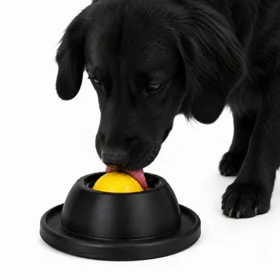 Foto do anúncio: Bola Giratória Interativa com Dispenser de Petisco