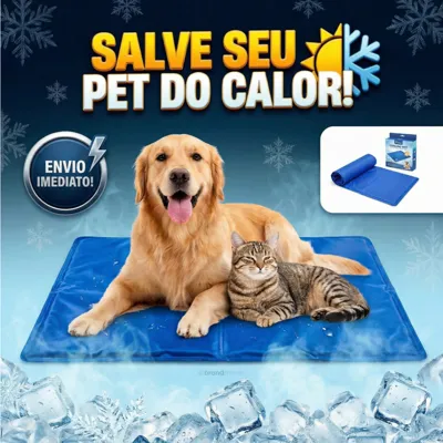 Foto do anúncio: Tapete Colchonete Gel Refrescante Gelado Pet Cachorro Gato Grande Médio Pequeno