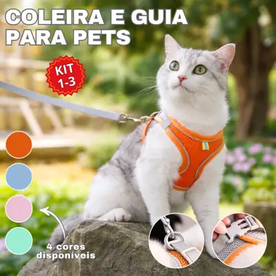 Foto do anúncio: Coleira e Guia para Cães e Gatos Diversos Tamanhos Para Pequeno e Médio
