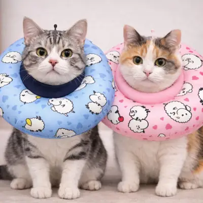 Foto do anúncio: Colar Elizabetano Almofadado Confortavel Fofinho para Gatos e Caes