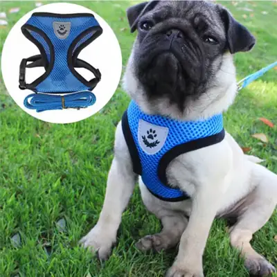 Foto do anúncio: Peitoral para Cachorro com Guia Ajustável Respirável para Cães Pequenos