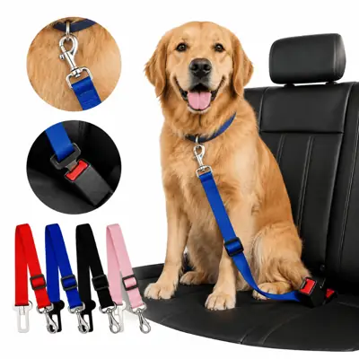 Foto do anúncio: Cinto para Cachorro com Guia Ajustável para Carro - Reforçado