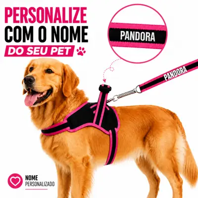 Foto do anúncio: Coleira Para Cachorro Personalizada com Nome + Guia Anti Puxão