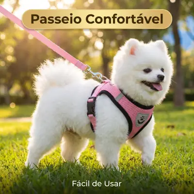 Foto do anúncio: Kit Peitoral + Guia para Cachorro Passeio Diário Facilitado