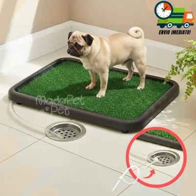 Foto do anúncio: Banheiro Sanitário Com Dreno e Mangueira Lavável Para Cães Tapete Higiênico Grama