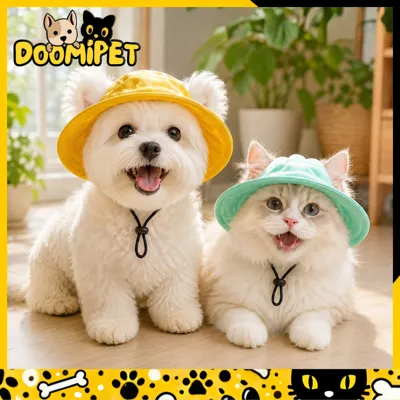 Foto do anúncio: Pet Chapéu de Sol para Cachorro Pequeno Boné Anti-UV Verão Respirável Estilo Fofo para Poodle Maltês Shih Tzu