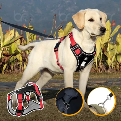 Foto do anúncio: Peitoral de Passeio para Cachorro de Médio a Grande Porte Colete para Cães Ajustável Faixa Refletor Arnês Coleira