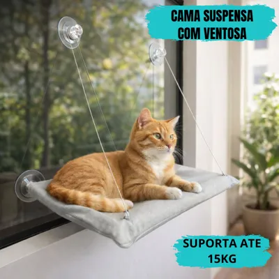 Foto do anúncio: Cama Suspensa Ventosa para Gato Janela Portas Pet Caminha Gato 15kg