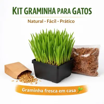 Foto do anúncio: Graminha para Gatos Kit Plantio Fácil - Auxilia Digestão