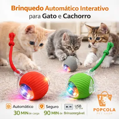 Foto do anúncio: Bola Interativa Automática Pet Cães Gatos Recarregável USB Brinquedo