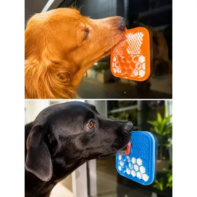 Foto do anúncio: Tapete Comedouro e Lambedor - Para Cães e Gatos, Reduz Ansiedade