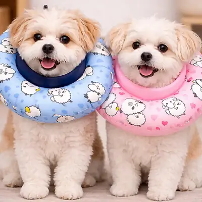Foto do anúncio: Colar Elizabetano Almofadado Ovelha para Gatos e Caes