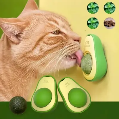 Foto do anúncio: Abacate De Brinquedo Para Gatos Com Catnip Erva Gato Natural