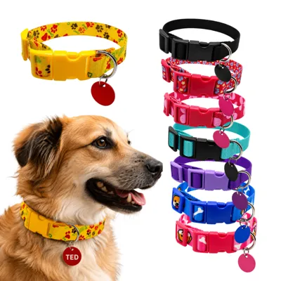 Foto do anúncio: Coleira Para Cachorro Plaquinha de Identificação Luxo Passeios Cães Personalizado Nome do Pet