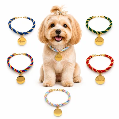 Foto do anúncio: Coleira Pingente Pet Luxo Personalizado Plaquinha Delicada Identificação Tag Nome Cachorro Fofo