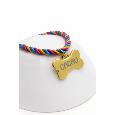 Foto do anúncio: Coleira Pet Luxo Cachorro Com Pingente Osso Ouro Personalizada Tag Identificação Nome Cão e Tutor