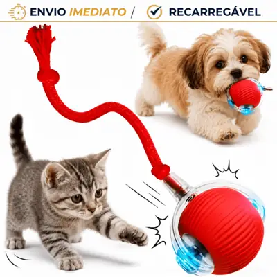 Foto do anúncio: Bola Interativa Automática Pet Cães Gatos Recarregável USB Brinquedo