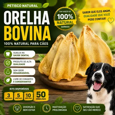 Foto do anúncio: Orelhas Bovina para Cachorro Kit 3, 5 ou 10 Petisco Natural Mordedor