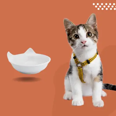 Foto do anúncio: Tigela Prato P/ Gatos Pet Comedouro Porcelana Gato