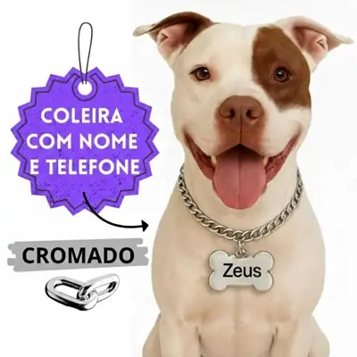 Foto do anúncio: Coleira para Cachorro Grande Enforcador Corrente com Identificação Nome